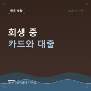 울산 개인회생 회생 중 카드와 대출