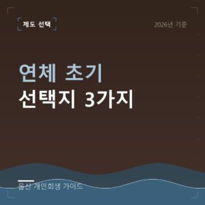 울산 개인회생 연체 초기 선택지 3가지