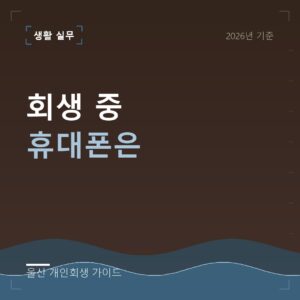 울산 개인회생 회생 중 휴대폰은